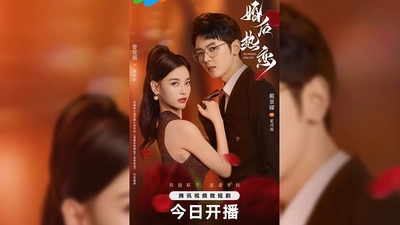 婚后热恋