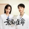 亲爱的生命 第7集 1 亲爱的生命 第7集 亲爱的生命