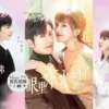 今生有你 第29集 1 今生有你 第29集 今生有你