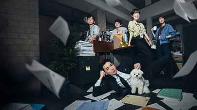 中國人線上看 公益律師