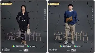 完美伴侶