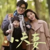 小夫妻剧版 第8集 1 小夫妻剧版 第8集 小夫妻剧版