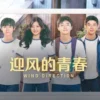 迎风的青春 第8集 1 迎风的青春 第8集 迎风的青春